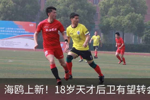 海鸥上新！18岁天才后卫有望转会英格兰，天赋顶级布莱顿要买